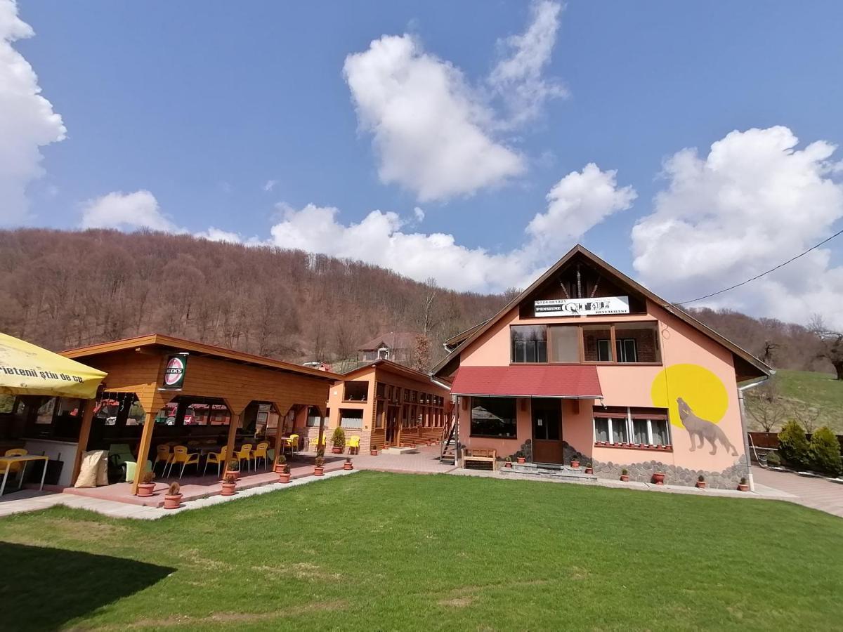 Pensiunea Colt Alb Băile Homorod Exterior photo